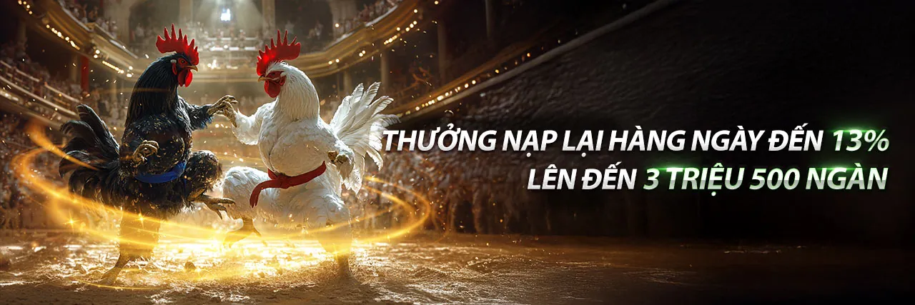 Giao diện ứng dụng qq8 trên điện thoại thông minh với chủ đề xanh vàng rực rỡ